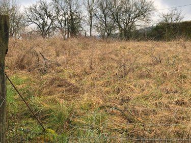 Terrain a batir a vendre Silmont 55000 Meuse 840 m2  15000 euros
