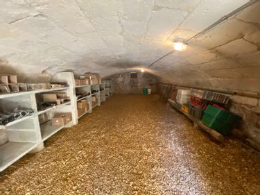 Viager maison Mayet 72360 Sarthe 160 m2 5 pièces 26000 euros