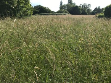 Terrain a batir a vendre Courceboeufs 72290 Sarthe 9874 m2  32400 euros