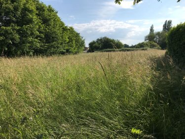 Terrain a batir a vendre Courceboeufs 72290 Sarthe 9874 m2  32400 euros