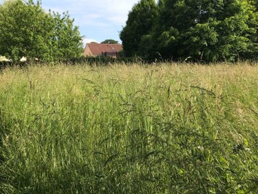Terrain a batir a vendre Courceboeufs 72290 Sarthe 9874 m2  32400 euros