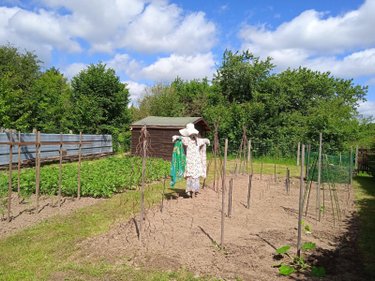 Maison a vendre Chéniers 23220 Creuse 103 m2 5 pièces 98000 euros