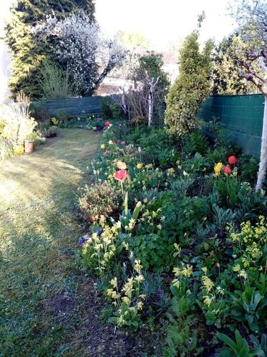 Maison a vendre Chéniers 23220 Creuse 103 m2 5 pièces 98000 euros