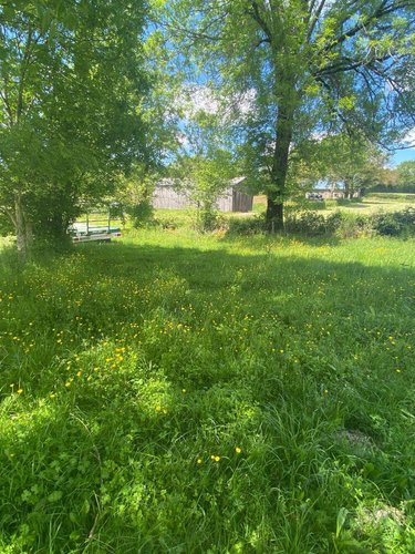 Maison a vendre Drugeac 15140 Cantal 400 m2  31800 euros