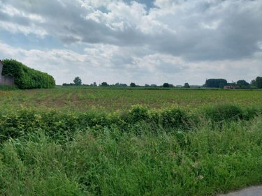 Terrain a batir a vendre La Couture 62136 Pas-de-Calais 1100 m2  70000 euros