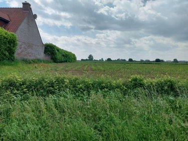 Terrain a batir a vendre La Couture 62136 Pas-de-Calais 1100 m2  70000 euros