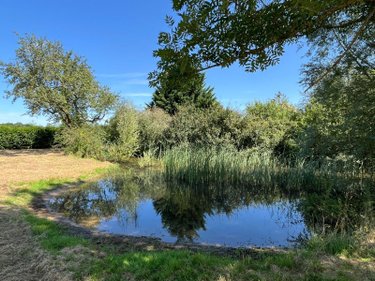 Maison a vendre Villemoyenne 10260 Aube 114 m2 4 pièces 229950 euros