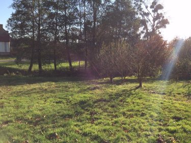 Location maison Romagné 35133 Ille-et-Vilaine 96 m2 4 pièces 730 euros