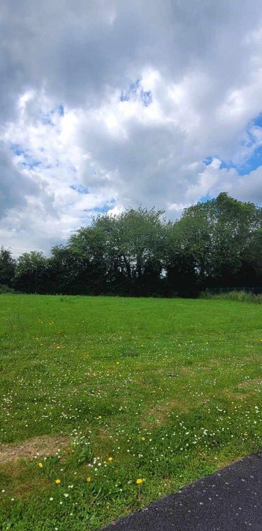 Terrain a batir a vendre Thiberville 27230 Eure 1161 m2  67694 euros