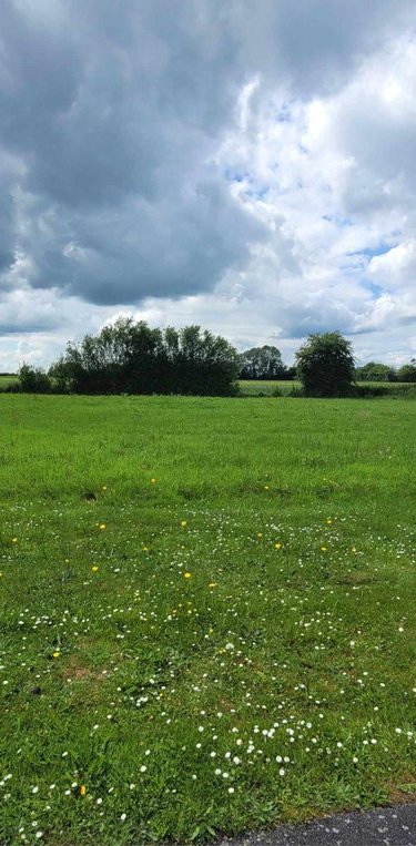 Terrain a batir a vendre Thiberville 27230 Eure 1076 m2  63104 euros