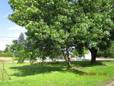 Maison a vendre Vy-lès-Lure 70200 Haute-Saône 106 m2 5 pièces 74900 euros