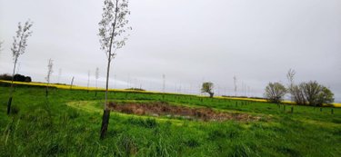 Terrains de loisirs bois etangs a vendre Genouilly 18310 Cher 13150 m2  14800 euros