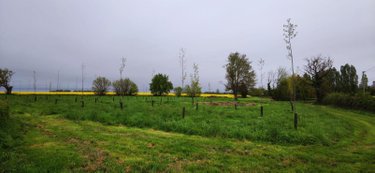 Terrains de loisirs bois etangs a vendre Genouilly 18310 Cher 13150 m2  14800 euros