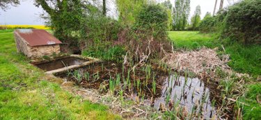 Terrains de loisirs bois etangs a vendre Genouilly 18310 Cher 13150 m2  14800 euros