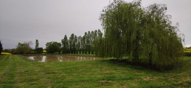 Terrains de loisirs bois etangs a vendre Genouilly 18310 Cher 13150 m2  14800 euros