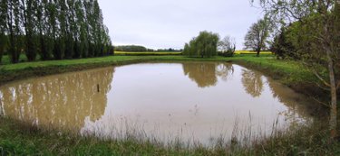 Terrains de loisirs bois etangs a vendre Genouilly 18310 Cher 13150 m2  14800 euros