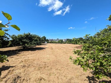 Maison a vendre Névez 29920 Finistère 104 m2 5 pièces 220500 euros