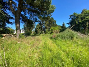 Terrain a batir a vendre Pléhédel 22290 Côtes-d'Armor 1234 m2  69200 euros