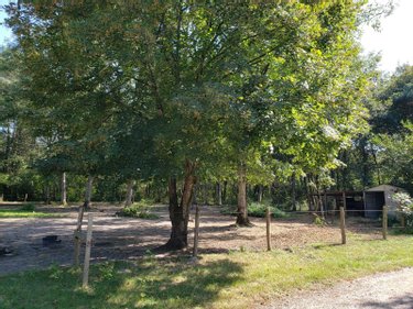 Maison a vendre Romorantin-Lanthenay 41200 Loir-et-Cher 123 m2 5 pièces 194990 euros