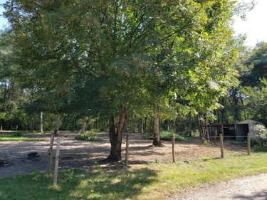 Maison a vendre Romorantin-Lanthenay 41200 Loir-et-Cher 123 m2 5 pièces 231880 euros