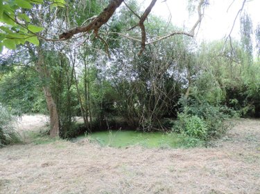 Terrains de loisirs bois etangs a vendre Le Lude 72800 Sarthe 8240 m2  18600 euros