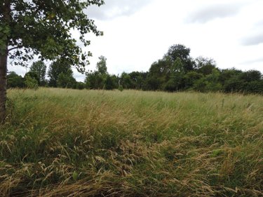 Terrains de loisirs bois etangs a vendre Le Lude 72800 Sarthe 8240 m2  18600 euros