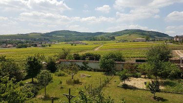 Maison a vendre La Chapelle-de-Guinchay 71570 Saône-et-Loire 262 m2 13 pièces 495000 euros