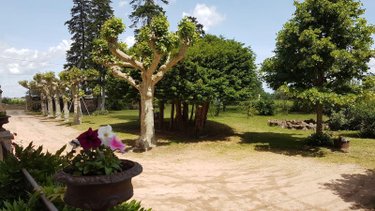 Maison a vendre La Chapelle-de-Guinchay 71570 Saône-et-Loire 262 m2 13 pièces 495000 euros
