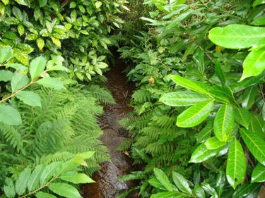 Maison a vendre Lignol 56160 Morbihan 160 m2 4 pièces 199000 euros