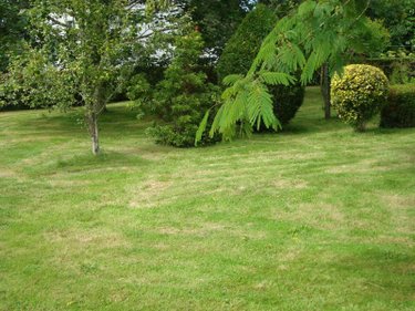 Maison a vendre Lignol 56160 Morbihan 160 m2 4 pièces 199000 euros