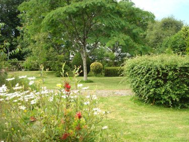 Maison a vendre Lignol 56160 Morbihan 160 m2 4 pièces 199000 euros