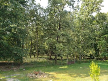 propriete a vendre Pruniers-en-Sologne 41200 Loir-et-Cher 185 m2 8 pièces 432140 euros