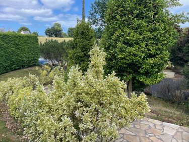 Maison a vendre Plouha 22580 Côtes-d'Armor 98 m2 5 pièces 209600 euros