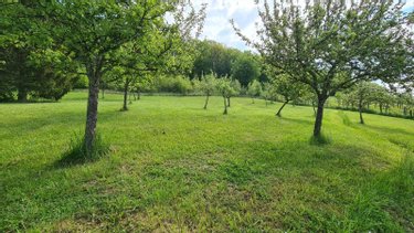 Maison a vendre Maizières-sur-Amance 52500 Haute-Marne 320 m2 9 pièces 118400 euros