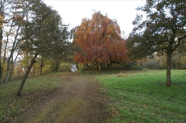 Maison a vendre Marac 52260 Haute-Marne 430 m2 26 pièces 467000 euros