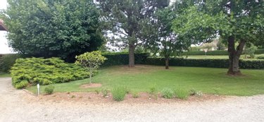 Viager maison Saints-Geosmes 52200 Haute-Marne 148 m2 8 pièces 80000 euros