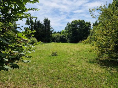 propriete a vendre Montier-en-l'Isle 10200 Aube 218 m2 8 pièces 299900 euros