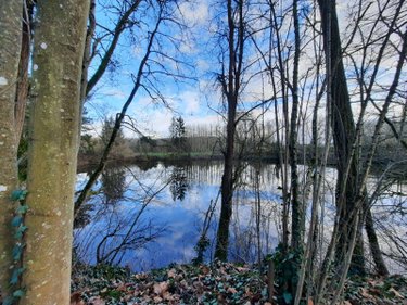 Maison a vendre Fismes 51170 Marne 230 m2  262500 euros