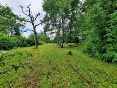 Maison a vendre Fismes 51170 Marne 230 m2  346500 euros