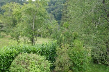 Maison a vendre Badecon-le-Pin 36200 Indre 58 m2 2 pièces 98580 euros