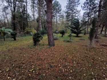 Terrains de loisirs bois etangs a vendre Vailly-sur-Aisne 02370 Aisne 11600 m2  183750 euros