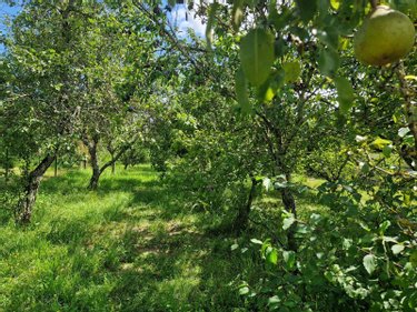 Maison a vendre Colombé-la-Fosse 10200 Aube 145 m2 5 pièces 81000 euros