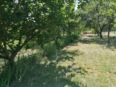 Maison a vendre Colombé-la-Fosse 10200 Aube 145 m2 5 pièces 81000 euros