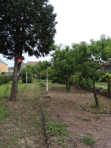 Viager maison Mayet 72360 Sarthe 123 m2 5 pièces 100000 euros