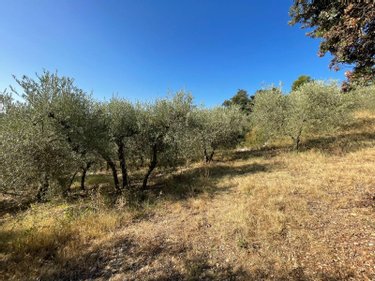 Maison a vendre Corbières en Provence 04220 Alpes-de-Haute-Provence 121 m2 5 pièces 361400 euros