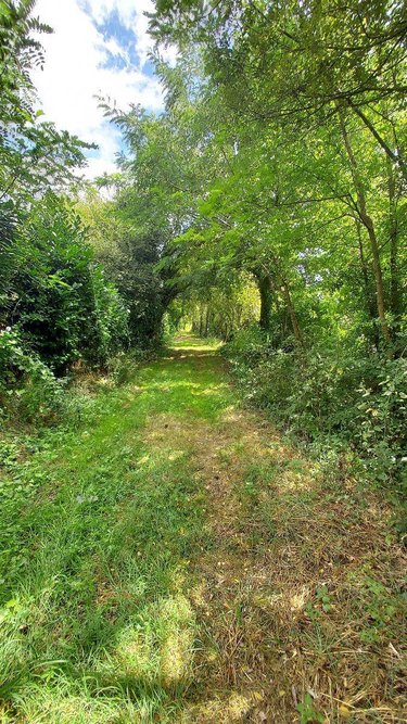 Terrains de loisirs bois etangs a vendre Château-Gontier-sur-Mayenne 53200 Mayenne 52291 m2  231000 euros