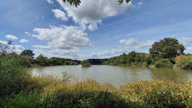 Terrains de loisirs bois etangs a vendre Château-Gontier-sur-Mayenne 53200 Mayenne 52291 m2  231000 euros