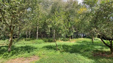 Terrains de loisirs bois etangs a vendre Château-Gontier-sur-Mayenne 53200 Mayenne 52291 m2  231000 euros