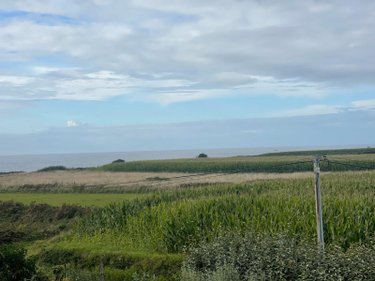 Maison a vendre Landunvez 29840 Finistère 137 m2 7 pièces 440000 euros