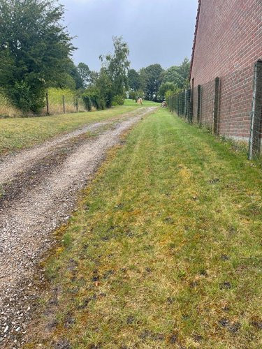 Terrain a batir a vendre Saint-Michel-sur-Ternoise 62130 Pas-de-Calais 8258 m2  229720 euros
